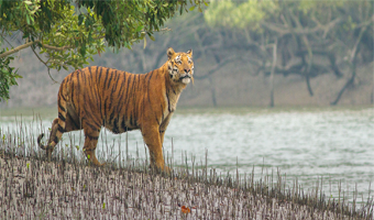 tour packages in bangladesh